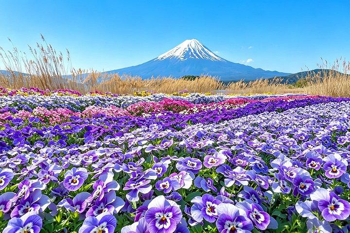 東京から : 富士山 6つの見どころ : 河口湖、忍野八海