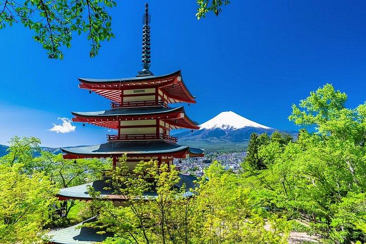 Excursion privée d'une journée au Mont Fuji