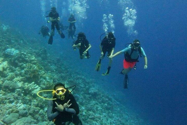 Dykning for begyndere 2 Dive, Lunch & Transfer: Hurghada