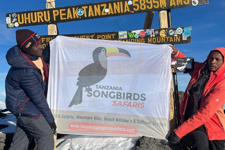 Subida al Kilimanjaro por la Ruta de Lemosho durante 7 Días (Todo Incluido)