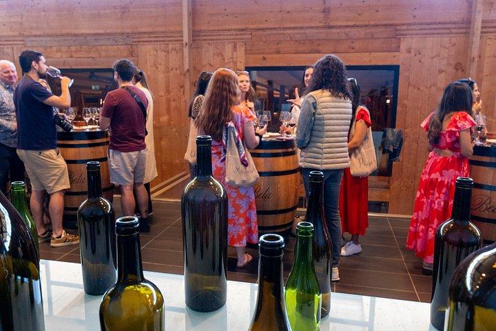 Ribera del Duero Weingüter Führung & Weinprobe ab Madrid