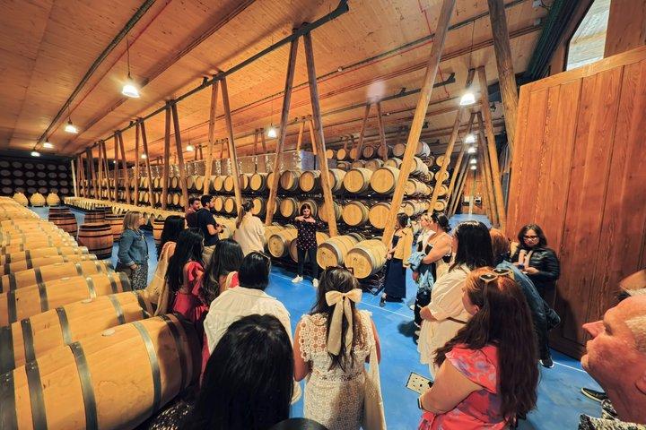 Tour guidato delle Cantine Ribera del Duero e degustazione di vini da Madrid
