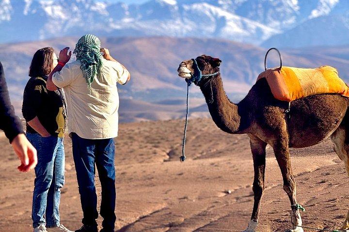 Agafay Desert Sunset Camel Ride & Dinner Show from Marrakech