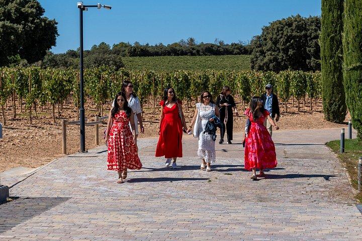 Ribera del Duero Weingüter Führung & Weinprobe ab Madrid