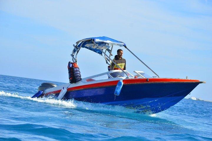 Privat Speedboat Delphin House tur med Parasailing: Hurghada