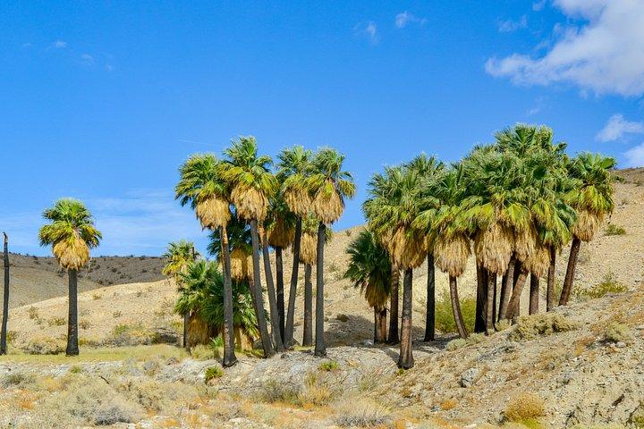 Palm Springs Self-Guided Driving Audio Tour