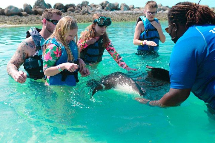 Recorrido de aventura por cerdos, tiburones y rayas Nassau Compartido