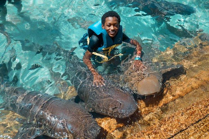Visite privée d'aventure de cochon, requin, tortue et raie à Nassau