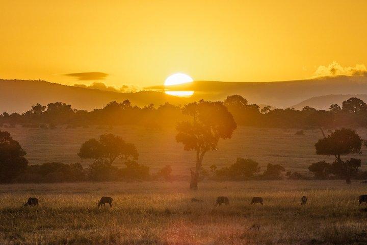 8 Days 7 Nights Safari and Culture Tour in Kenya and Tanzania