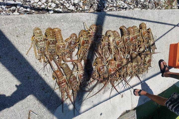 6 persona Key West Pesca Charter con Nice Guy Charters