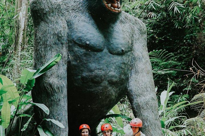 Ubud Adventure ATV : Risaie, Fiume e Cascate