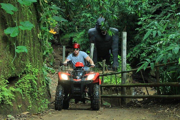 Ubud Adventure ATV : Risaie, Fiume e Cascate