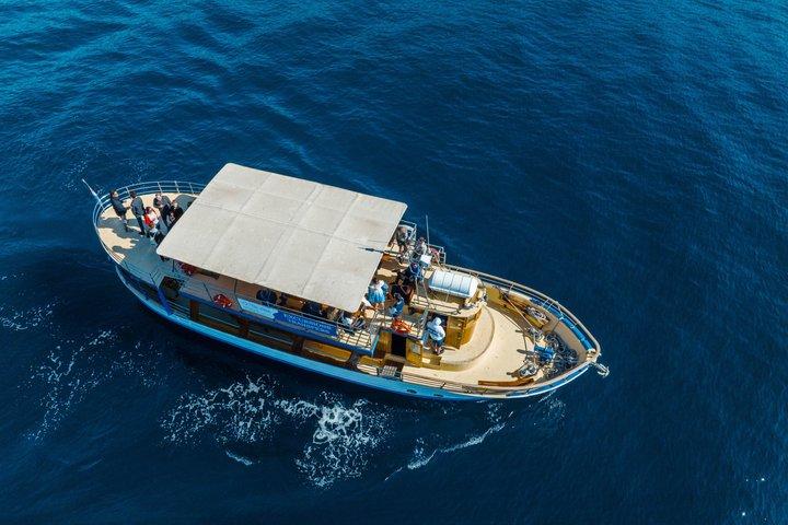 Fra Opatija til Krk & Cres Islands bådtur med frokost
