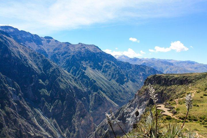 Colca Canyon Full Day Tour from Arequipa with Condor Viewing