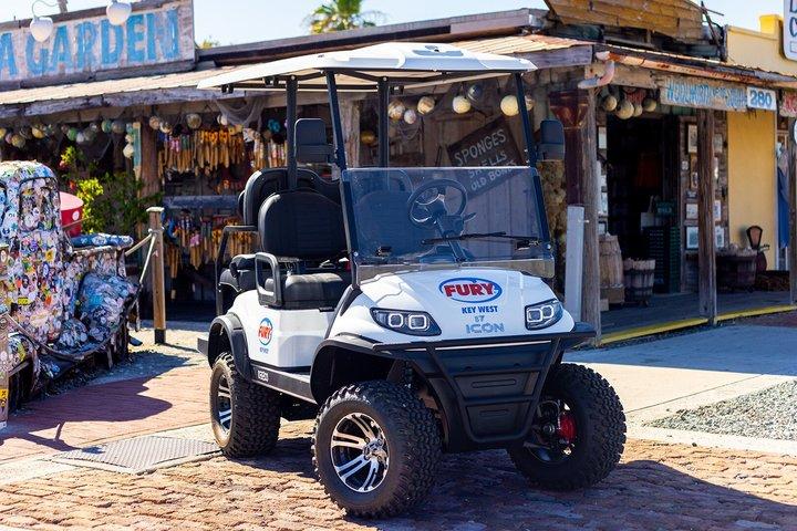 Location panier golf Key West : Exploration d'une journée sur l'île