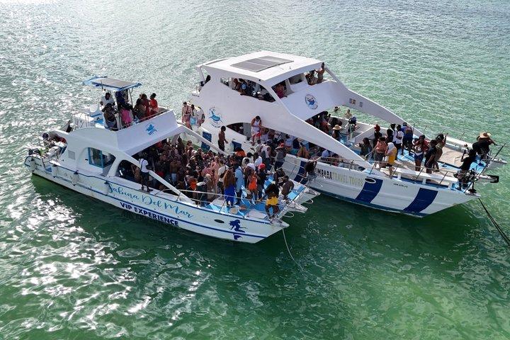 Punta Cana Exclusive Hip Hop Party Boat Vibes Adulte AVEC OPEN BAR