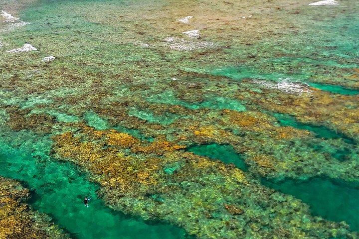 Key West dobbelt-dyk snorkel tur - to stop, dobbelt så sjovt!