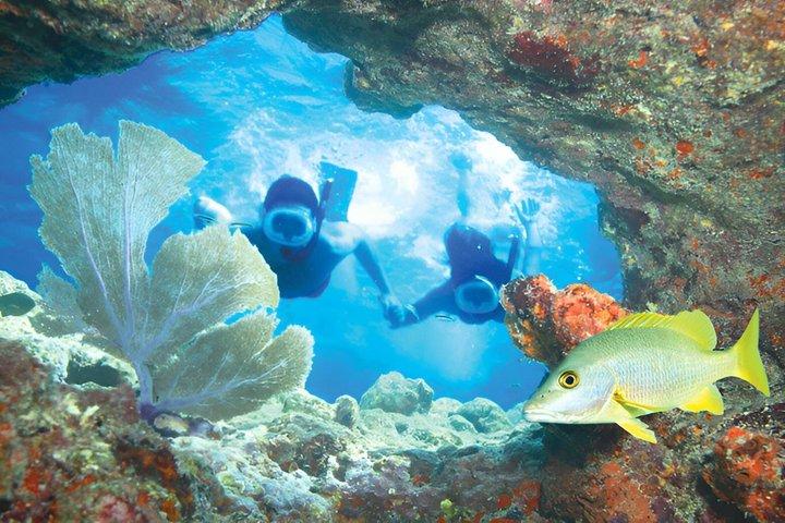 Visite de Key West avec tuba à deux plongeons, deux fois plus amusant!
