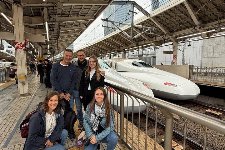Excursión de un día a Kioto desde Tokio en tren bala Visita guiada privada