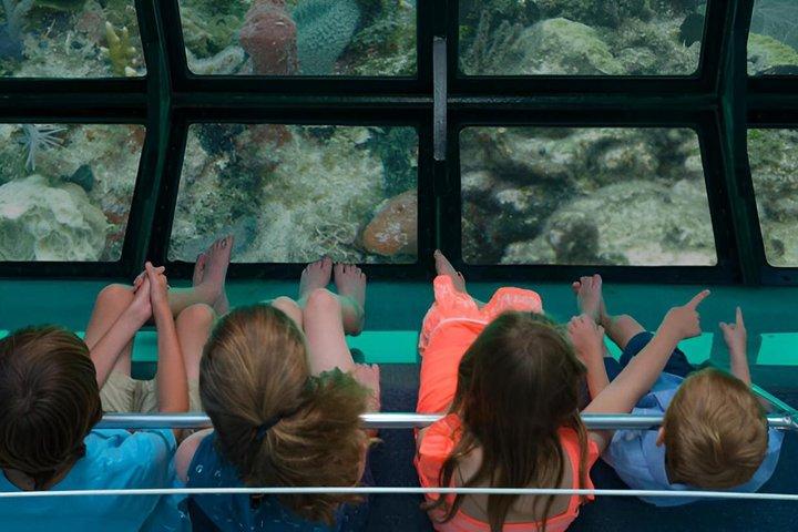 Visite en bateau à fond vitré à Key West au coucher du soleil (selon votre choix)