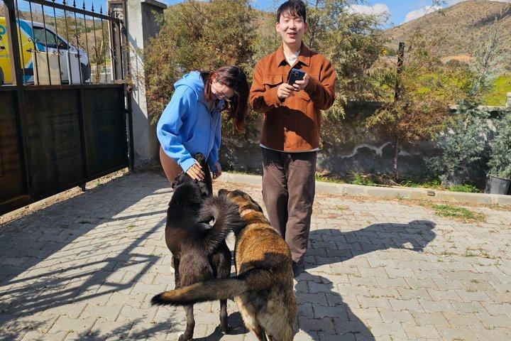 カッパドキアのブドウ園体験とワインテイスティング