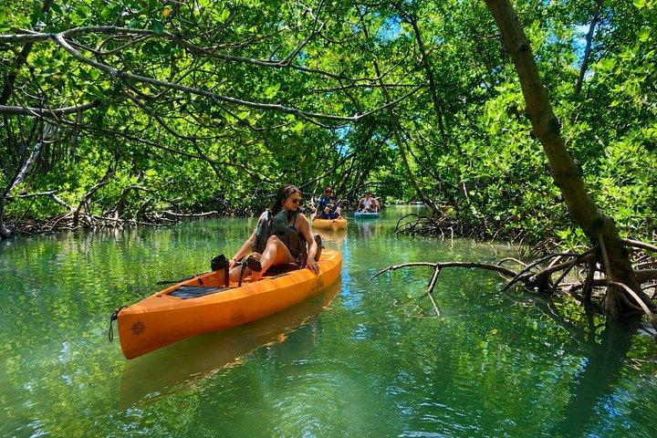 Marco Island and Naples Pedal or Paddle Kayak Tour