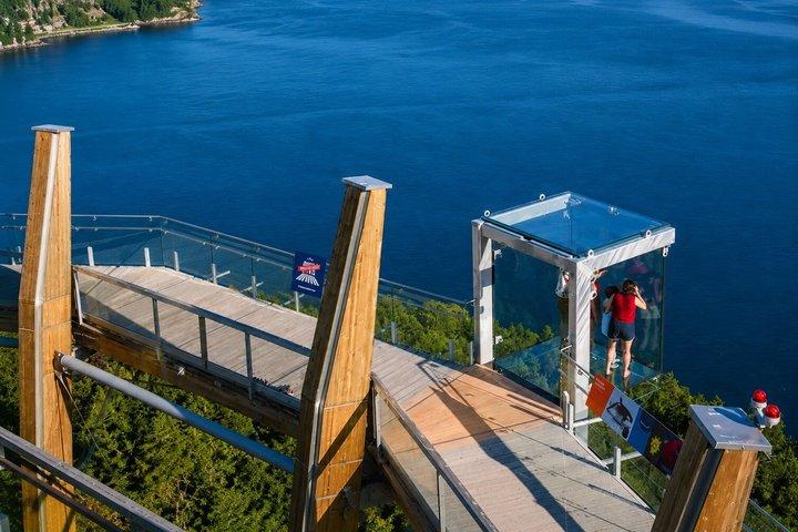 5 - heure NOUVEAU Malahat Skywalk et Beacon Hill Park Tour (1 - 9pax)