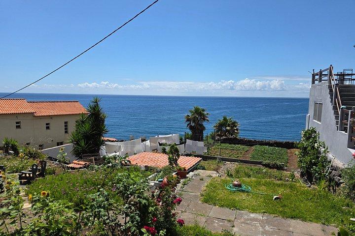 Sudoeste Tour Ponta do Sol & Calheta it a walk in banana route