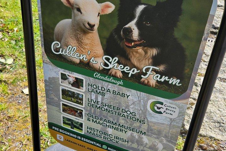 Glendalough & Kilkenny From Dublin Full Day - Private Driver