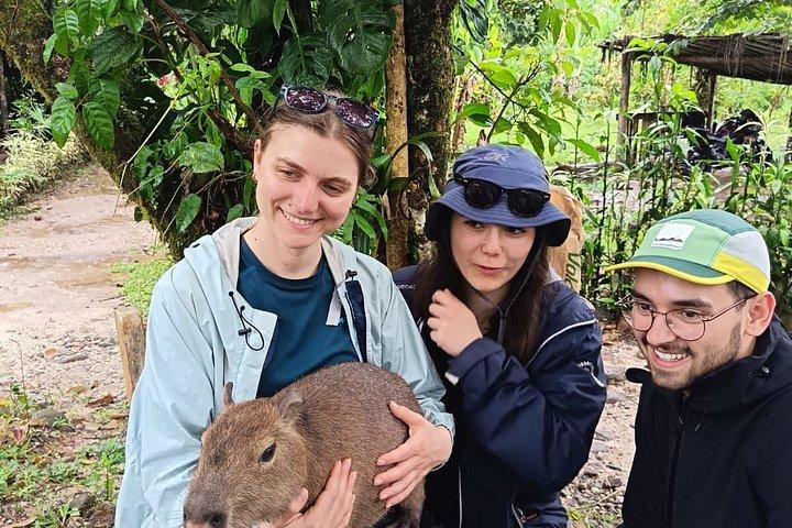 Amazon Puyo 3 Days 2 Nights | Caimans, Waterfall and Jungle