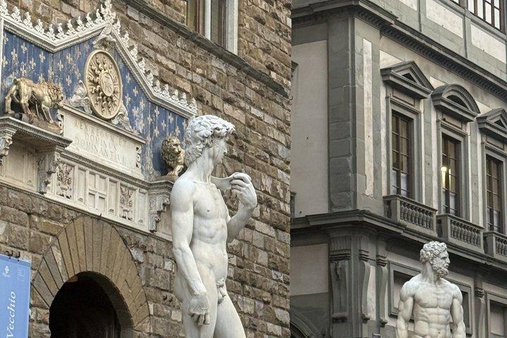 Toegangsticket Accademia Gallery met Priority Access