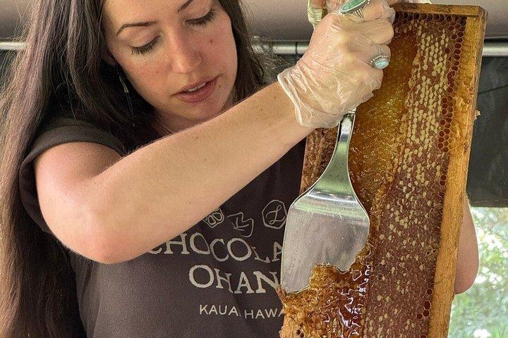 Inside the Hive: Kauai Honig- und Bienentour
