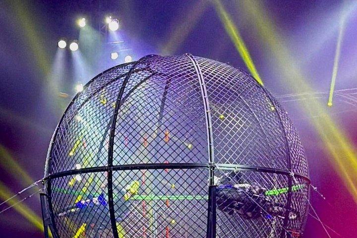 Phuket Circus Adrenaline Show