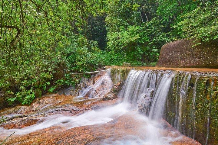 Full Day Cameron Highlands Nature Tour