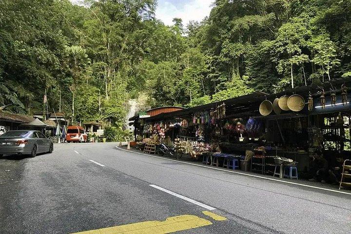 Full Day Cameron Highlands Nature Tour