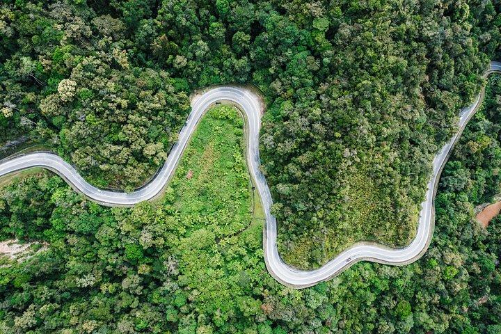 Full Day Cameron Highlands Nature Tour