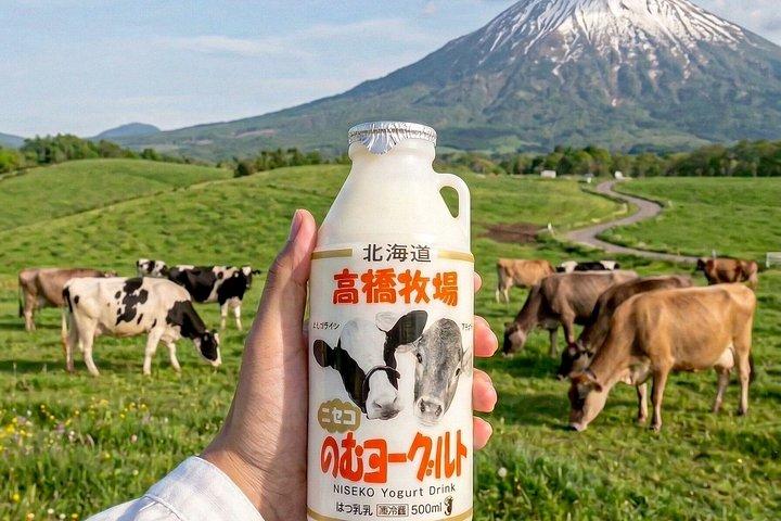 札幌発 登別・洞爺湖・ニセコ満喫一日ツアー
