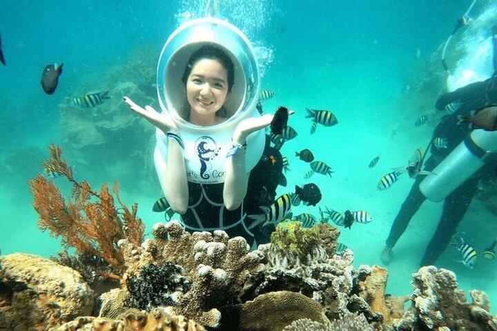 Phu Quoc Sea Walk bei Sun World Hon Thom oder Scuba Dive