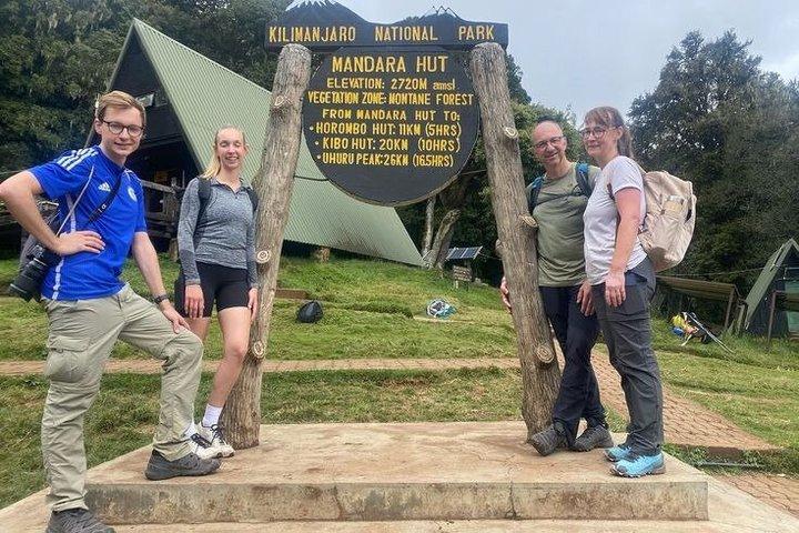 Kilimanjaro 1 Day Hike With Experienced Guide