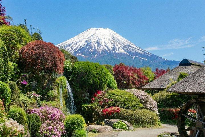東京発富士山全日観光ツアー