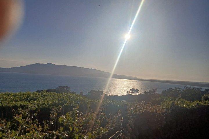 ヴィテルボ県 : 火山性、エトルリア人、ローマ人、教皇