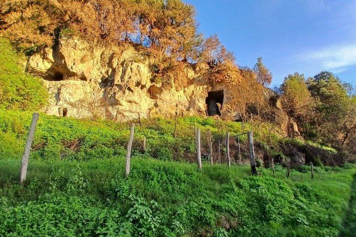 ヴィテルボ県 : 火山性、エトルリア人、ローマ人、教皇