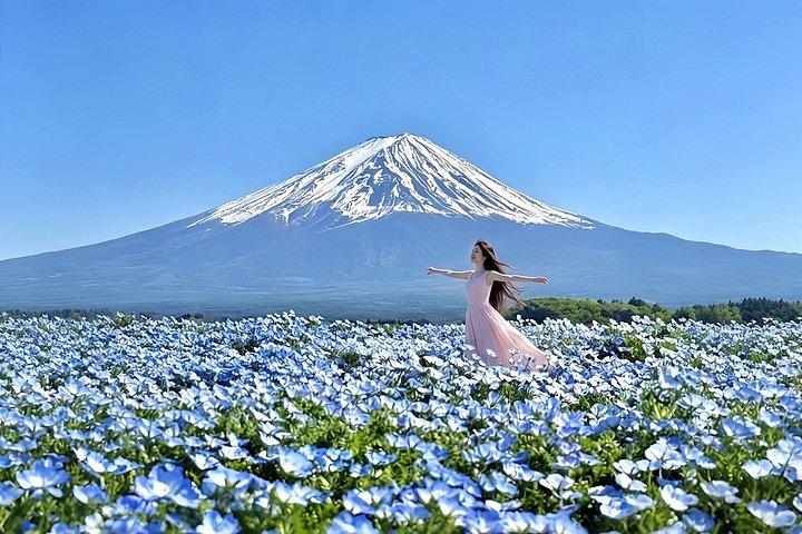 富士山六景小グループ日帰りツアー（送迎付き）