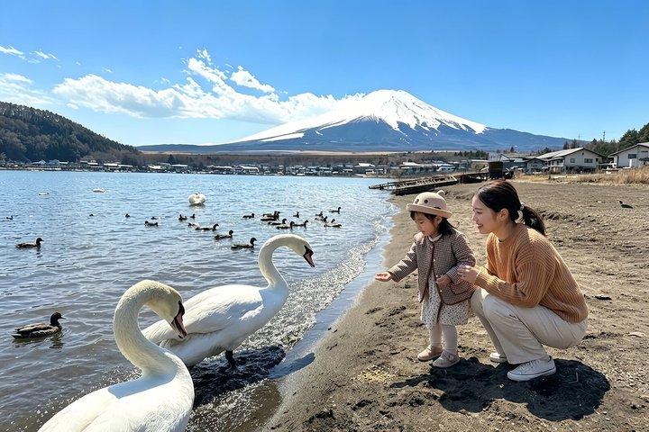 Privé dagtour met charter naar Mount Fuji