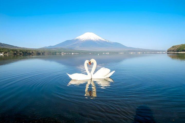 Excursion privée d'une journée au Mont Fuji