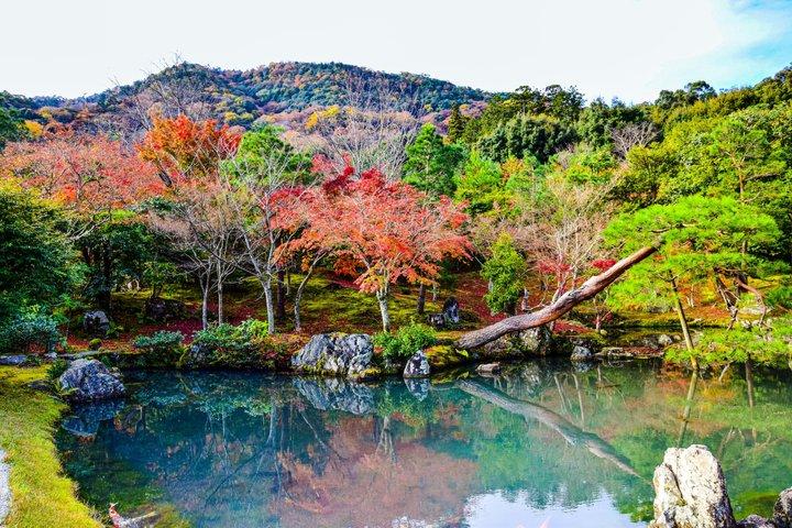Kyoto Fushimi Inari-taisha Shrine Privat lyxtur