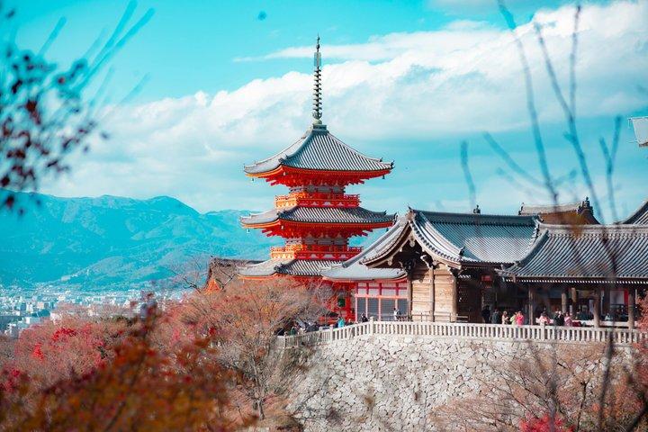 Excursión privada de lujo al santuario Fushimi Inari-taisha de Kioto