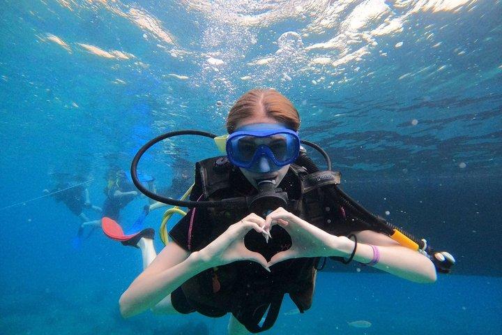 Kemer 2 Dives in Crystal Clear Bays with Lunch and Transfer