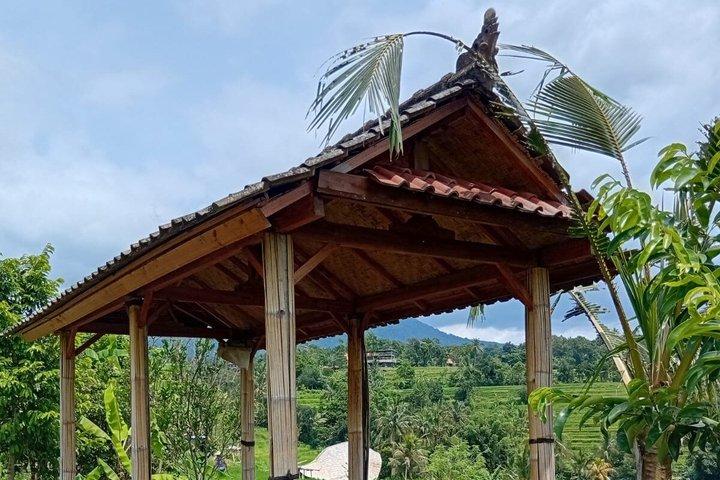 バリ島日帰りツアー：ライステラス、モンキーフォレスト、滝