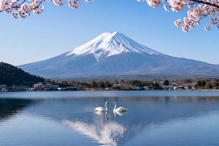 Privat rundtur till Mount Fuji,Hakone med licensierad förarservice